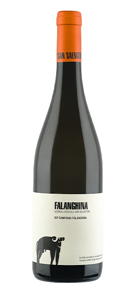Falanghina IGP Campania 2022 Weißwein Svinando DE