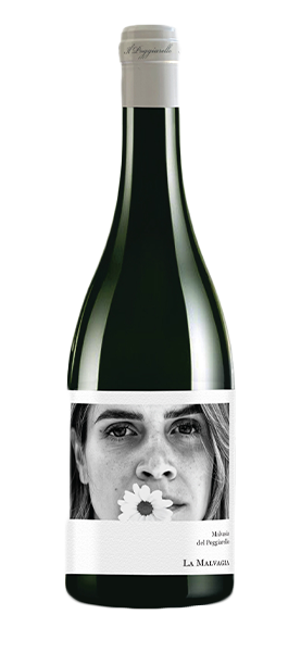 La Malvagia Malvasia Emilia IGT 2021 Weißwein Svinando DE