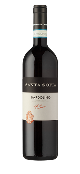 Pasqua Villa Borghetti Bardolino Classico DOC trocken, Rotwein 2019 - Wein  günstig kaufen