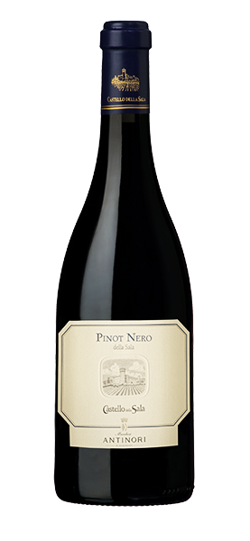 Pinot Nero Umbria IGT 2019 Rotwein Svinando DE