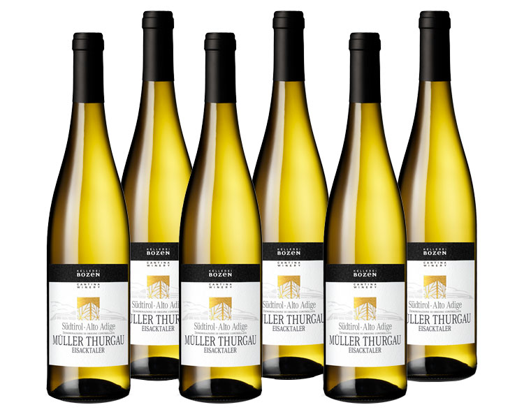 Paket mit 6 Flaschen SÃ¼dtirol Muller Thurgau DOC Weißwein Svinando DE