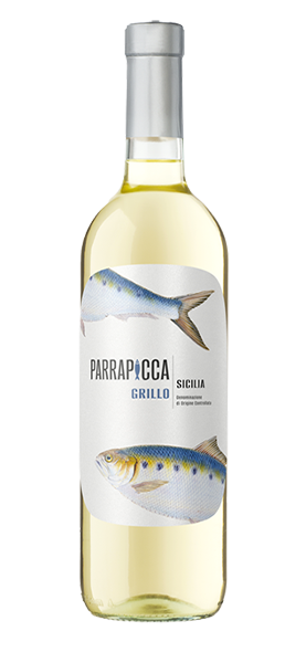 Grillo Sicilia DOC 2025