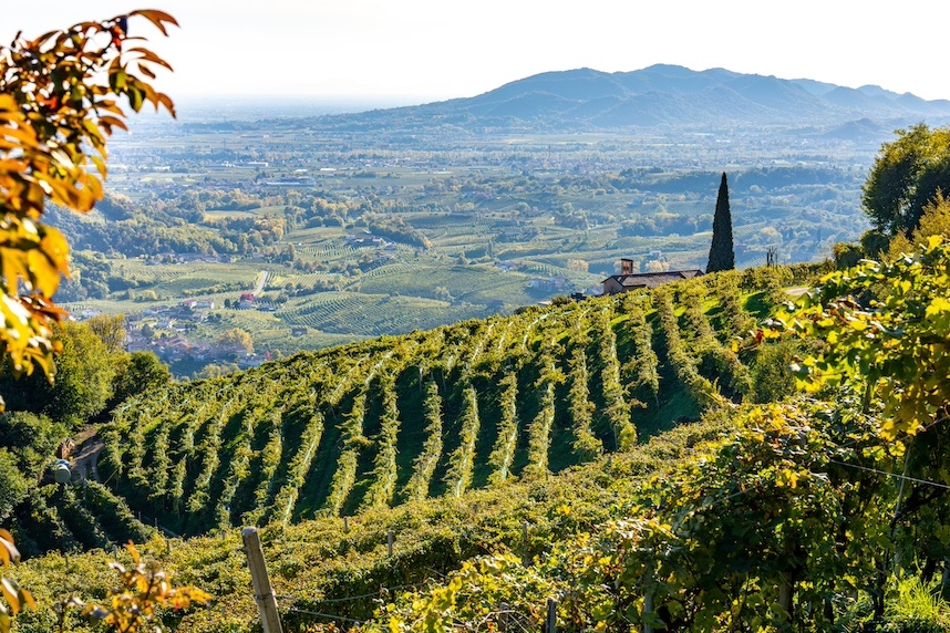 terroir prosecco valdobbiadene